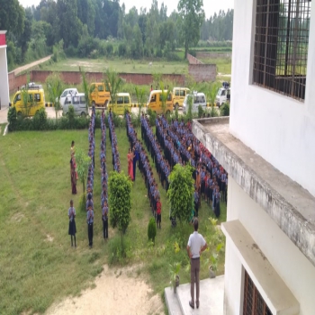DMS School