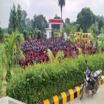 DMS School