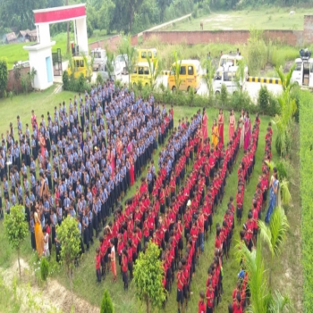 DMS School