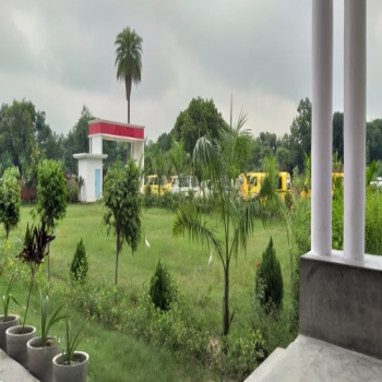 DMS School