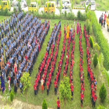 DMS School