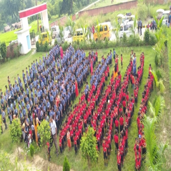 DMS School