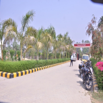 DMS School