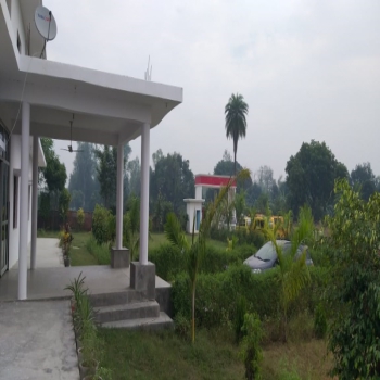 DMS School