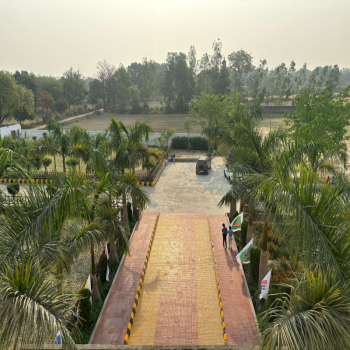 DMS School