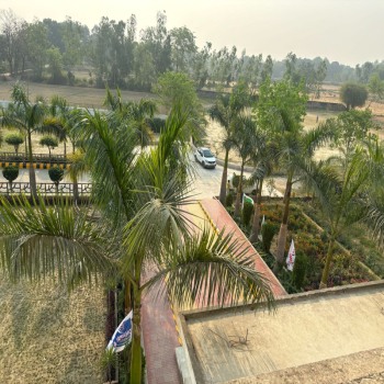 DMS School