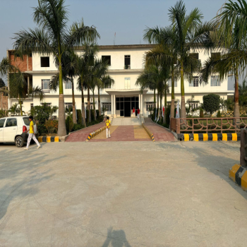 DMS School