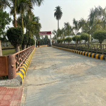 DMS School