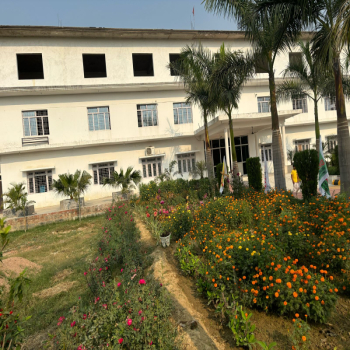 DMS School