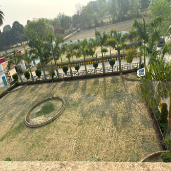 DMS School